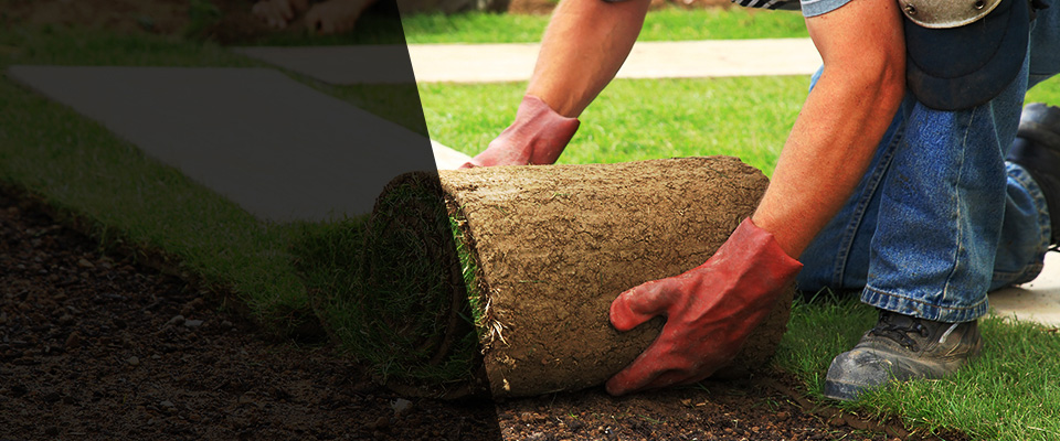 Canton Landscapers